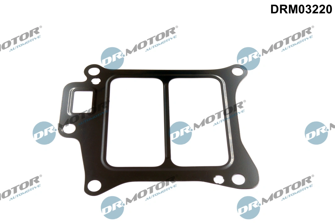 Gasket, EGR valve